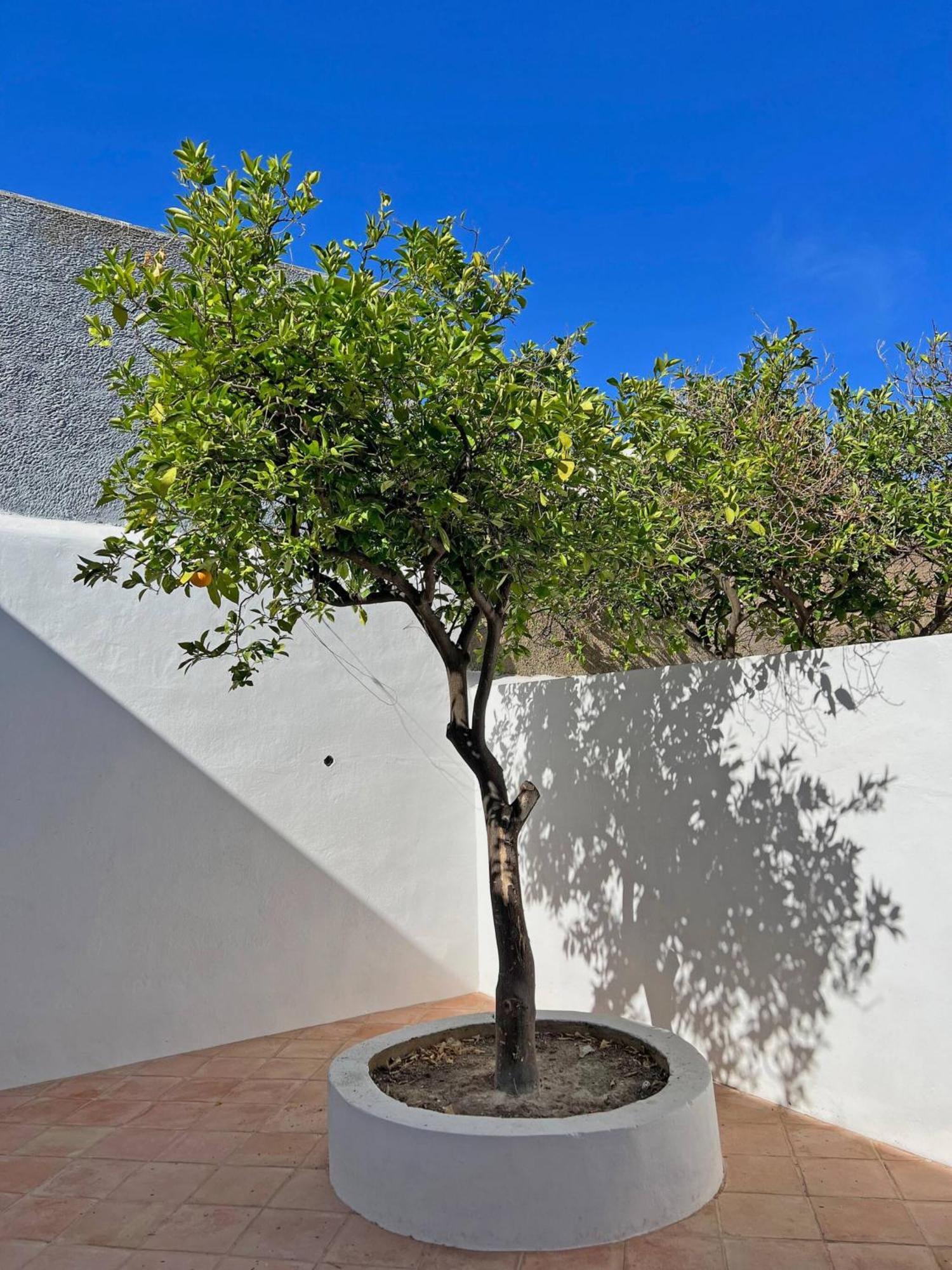 Casa Florence -